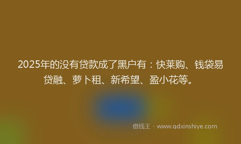 2025年的没有贷款成了黑户有：快莱购、钱袋易贷融、萝卜租、新希望、盈小花等。