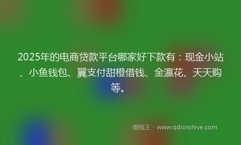 2025年的电商贷款平台哪家好下款有：现金小站、小鱼钱包、翼支付甜橙借钱、金瀛花、天天购等。