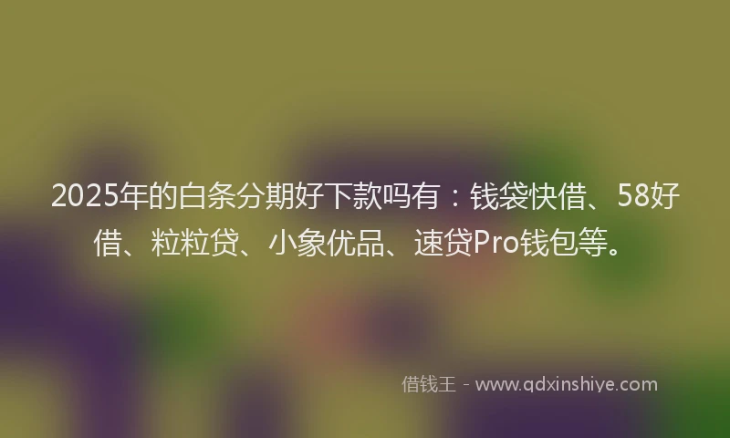2025年的白条分期好下款吗有：钱袋快借、58好借、粒粒贷、小象优品、速贷Pro钱包等。