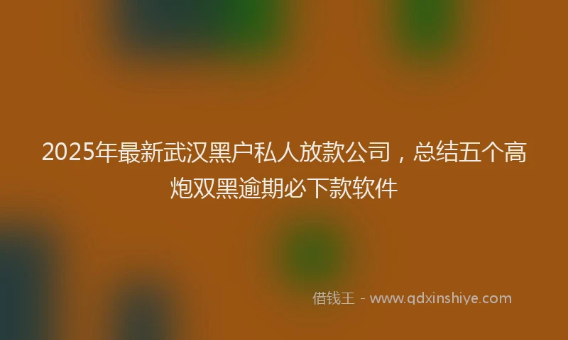 2025年最新武汉黑户私人放款公司，总结五个高炮双黑逾期必下款软件