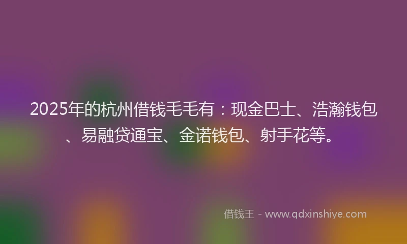 2025年的杭州借钱毛毛有：现金巴士、浩瀚钱包、易融贷通宝、金诺钱包、射手花等。