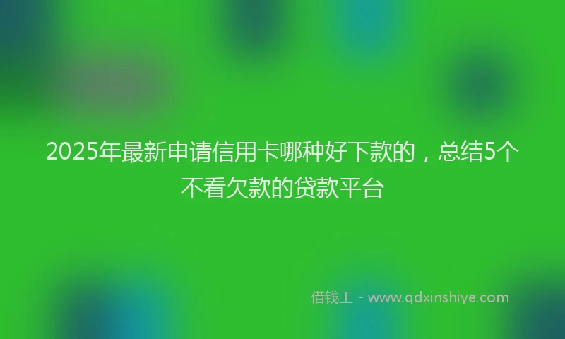 2025年最新申请信用卡哪种好下款的，总结5个不看欠款的贷款平台