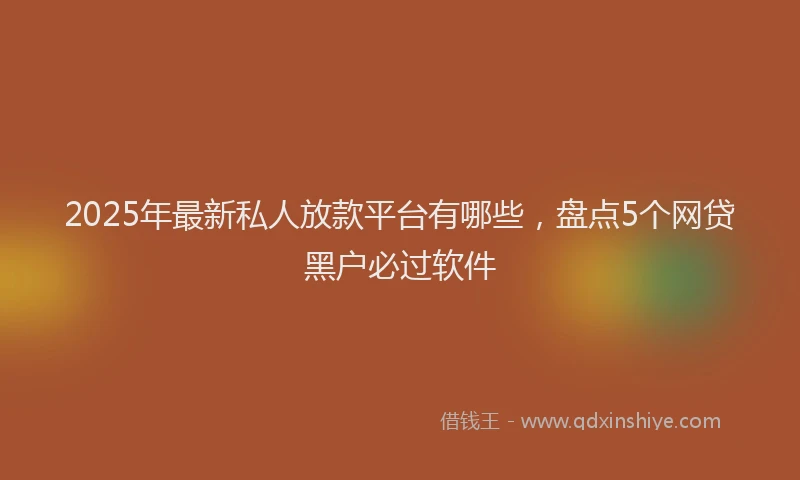 2025年最新私人放款平台有哪些，盘点5个网贷黑户必过软件
