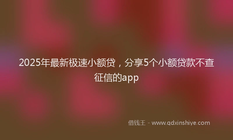 2025年最新极速小额贷，分享5个小额贷款不查征信的app