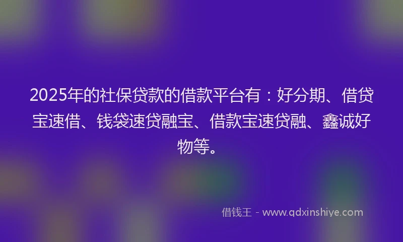2025年的社保贷款的借款平台有：好分期、借贷宝速借、钱袋速贷融宝、借款宝速贷融、鑫诚好物等。