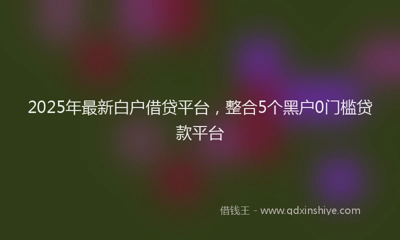 2025年最新白户借贷平台，整合5个黑户0门槛贷款平台
