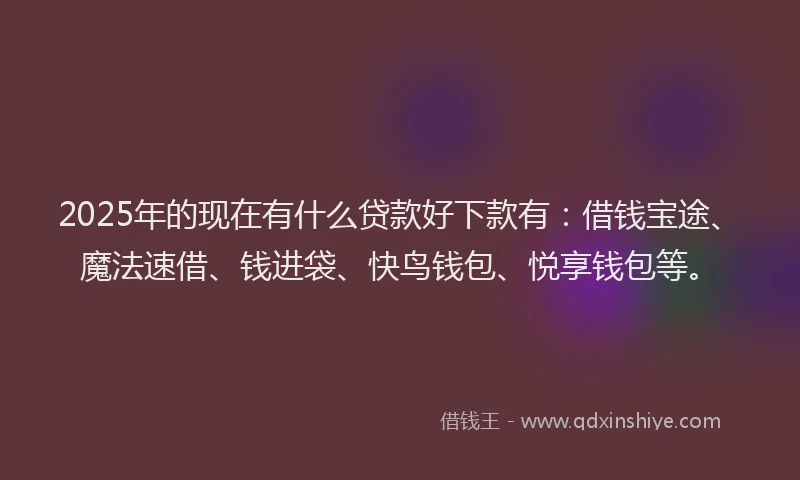 2025年的现在有什么贷款好下款有：借钱宝途、魔法速借、钱进袋、快鸟钱包、悦享钱包等。