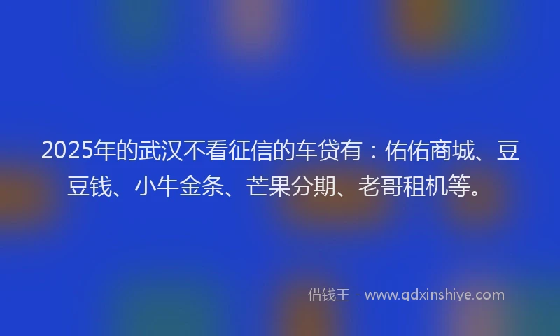 2025年的武汉不看征信的车贷有：佑佑商城、豆豆钱、小牛金条、芒果分期、老哥租机等。