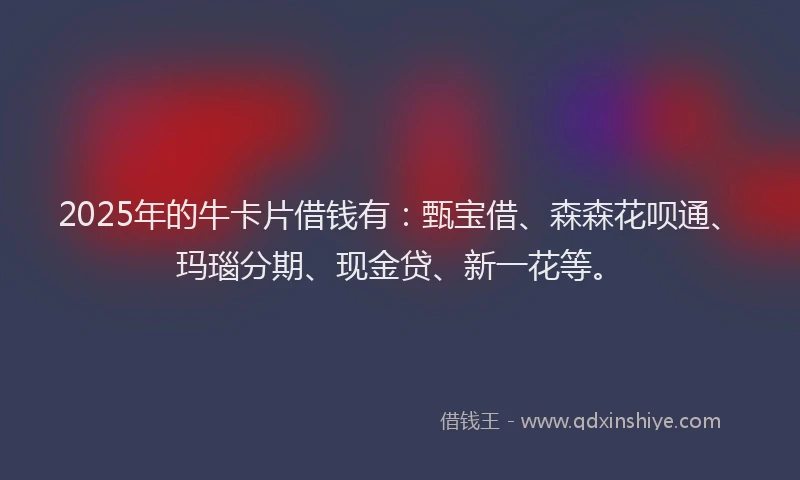 2025年的牛卡片借钱有：甄宝借、森森花呗通、玛瑙分期、现金贷、新一花等。