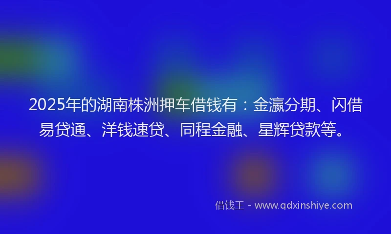 2025年的湖南株洲押车借钱有：金瀛分期、闪借易贷通、洋钱速贷、同程金融、星辉贷款等。