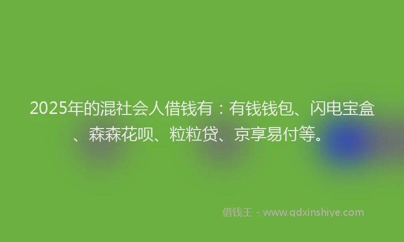 2025年的混社会人借钱有：有钱钱包、闪电宝盒、森森花呗、粒粒贷、京享易付等。