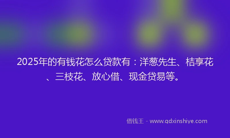 2025年的有钱花怎么贷款有：洋葱先生、桔享花、三枝花、放心借、现金贷易等。