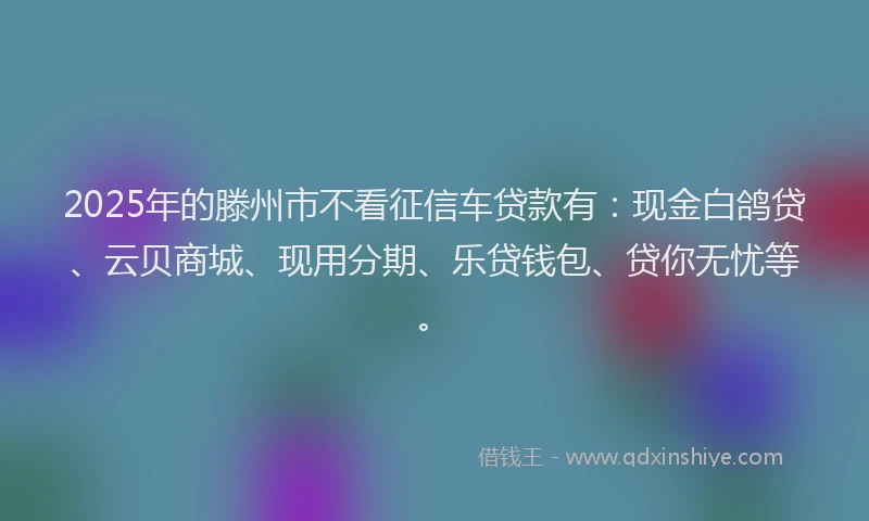 2025年的滕州市不看征信车贷款有：现金白鸽贷、云贝商城、现用分期、乐贷钱包、贷你无忧等。
