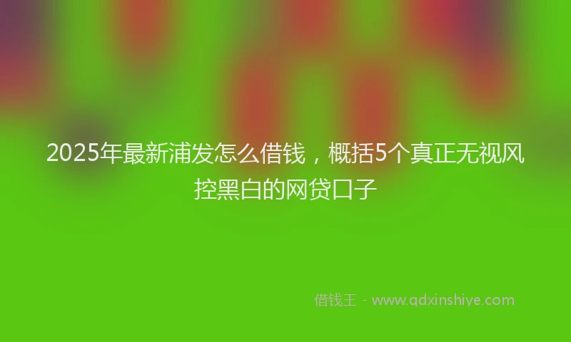 2025年最新浦发怎么借钱，概括5个真正无视风控黑白的网贷口子