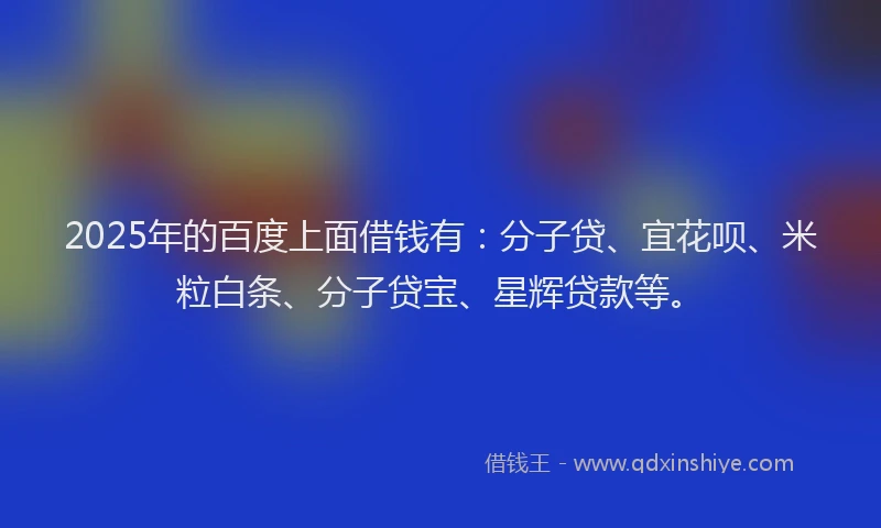 2025年的百度上面借钱有：分子贷、宜花呗、米粒白条、分子贷宝、星辉贷款等。