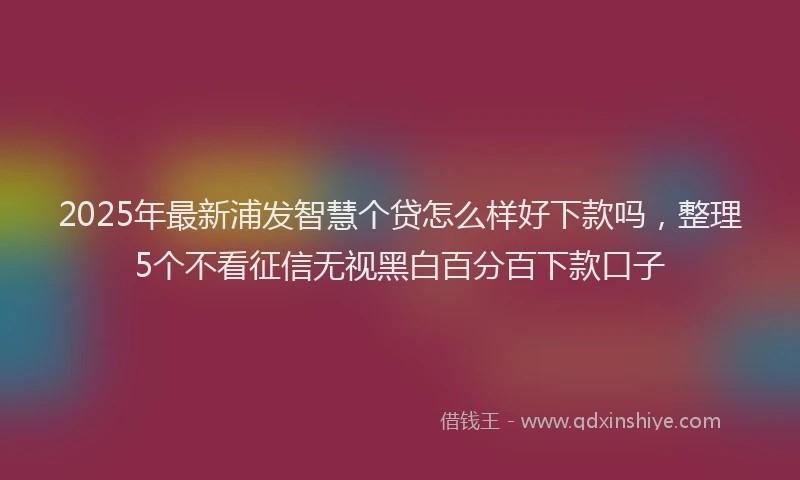 2025年最新浦发智慧个贷怎么样好下款吗，整理5个不看征信无视黑白百分百下款口子