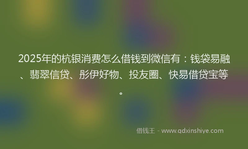 2025年的杭银消费怎么借钱到微信有：钱袋易融、翡翠信贷、彤伊好物、投友圈、快易借贷宝等。
