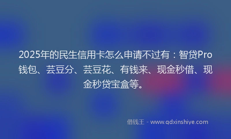 2025年的民生信用卡怎么申请不过有：智贷Pro钱包、芸豆分、芸豆花、有钱来、现金秒借、现金秒贷宝盒等。