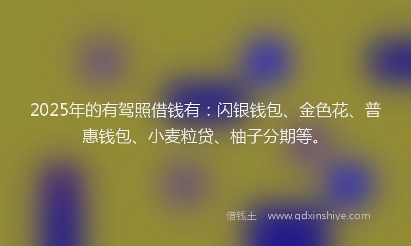 2025年的有驾照借钱有：闪银钱包、金色花、普惠钱包、小麦粒贷、柚子分期等。