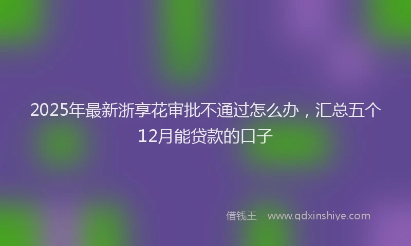 2025年最新浙享花审批不通过怎么办，汇总五个12月能贷款的口子