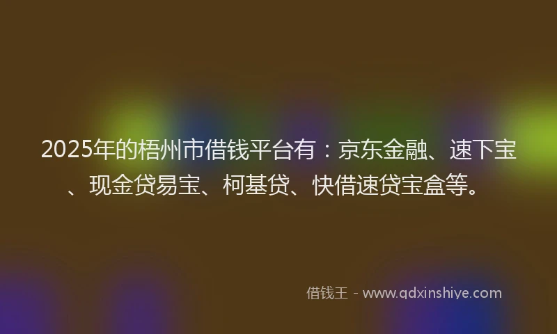 2025年的梧州市借钱平台有：京东金融、速下宝、现金贷易宝、柯基贷、快借速贷宝盒等。