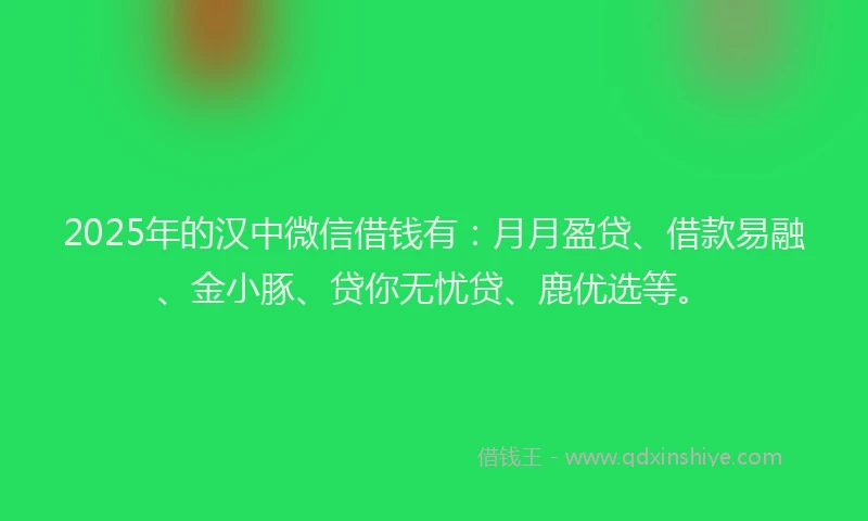 2025年的汉中微信借钱有：月月盈贷、借款易融、金小豚、贷你无忧贷、鹿优选等。
