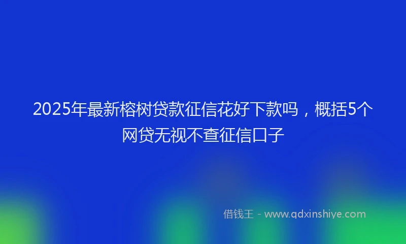 2025年最新榕树贷款征信花好下款吗，概括5个网贷无视不查征信口子