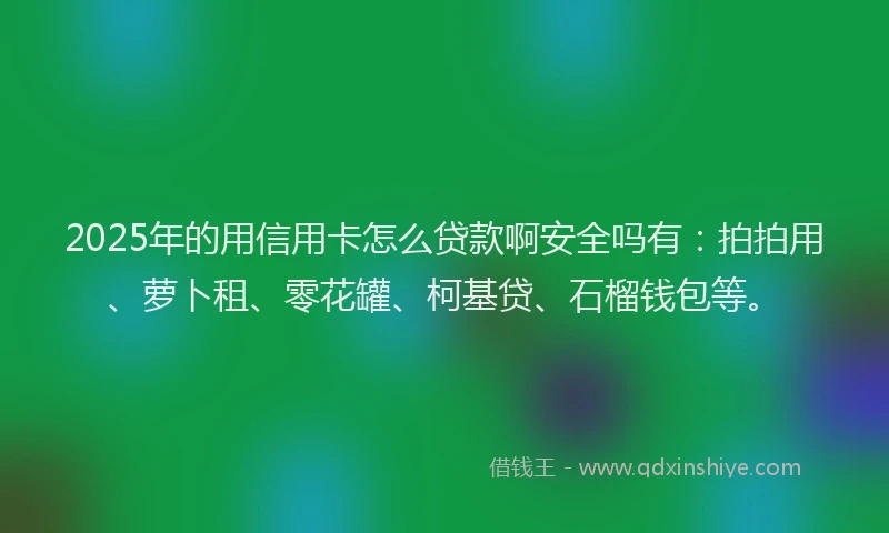 2025年的用信用卡怎么贷款啊安全吗有：拍拍用、萝卜租、零花罐、柯基贷、石榴钱包等。