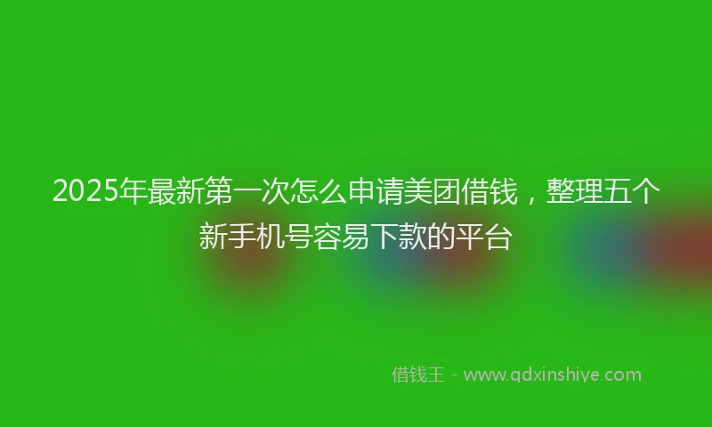 2025年最新第一次怎么申请美团借钱，整理五个新手机号容易下款的平台