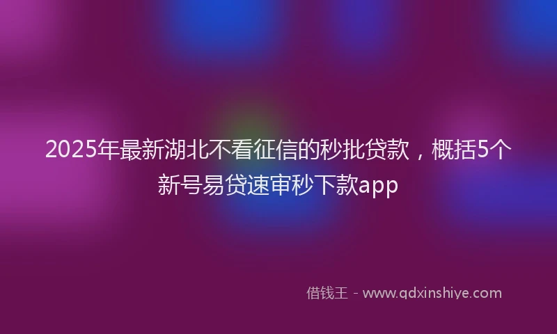 2025年最新湖北不看征信的秒批贷款，概括5个新号易贷速审秒下款app