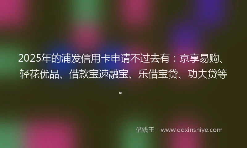 2025年的浦发信用卡申请不过去有：京享易购、轻花优品、借款宝速融宝、乐借宝贷、功夫贷等。