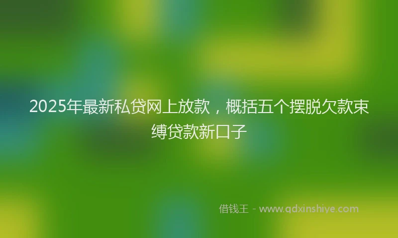 2025年最新私贷网上放款，概括五个摆脱欠款束缚贷款新口子