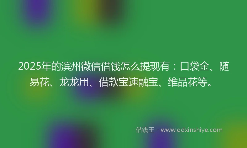 2025年的滨州微信借钱怎么提现有：口袋金、随易花、龙龙用、借款宝速融宝、维品花等。