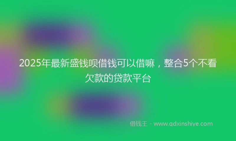 2025年最新盛钱呗借钱可以借嘛，整合5个不看欠款的贷款平台