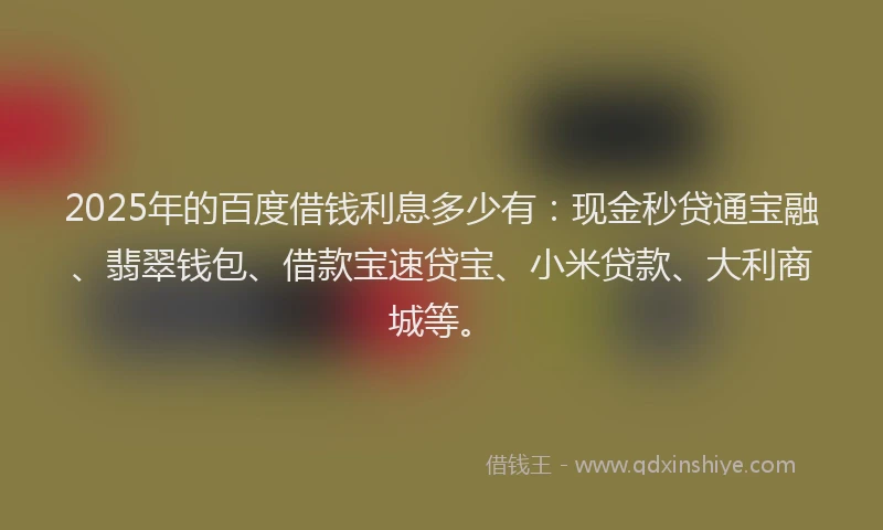 2025年的百度借钱利息多少有：现金秒贷通宝融、翡翠钱包、借款宝速贷宝、小米贷款、大利商城等。