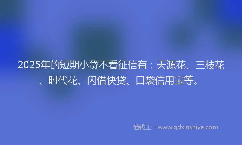 2025年的短期小贷不看征信有：天源花、三枝花、时代花、闪借快贷、口袋信用宝等。