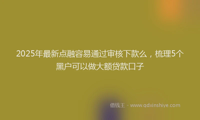 2025年最新点融容易通过审核下款么，梳理5个黑户可以做大额贷款口子