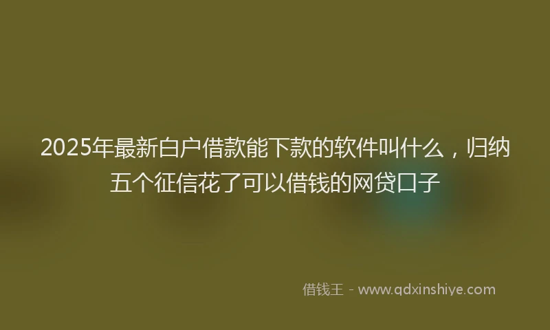 2025年最新白户借款能下款的软件叫什么，归纳五个征信花了可以借钱的网贷口子
