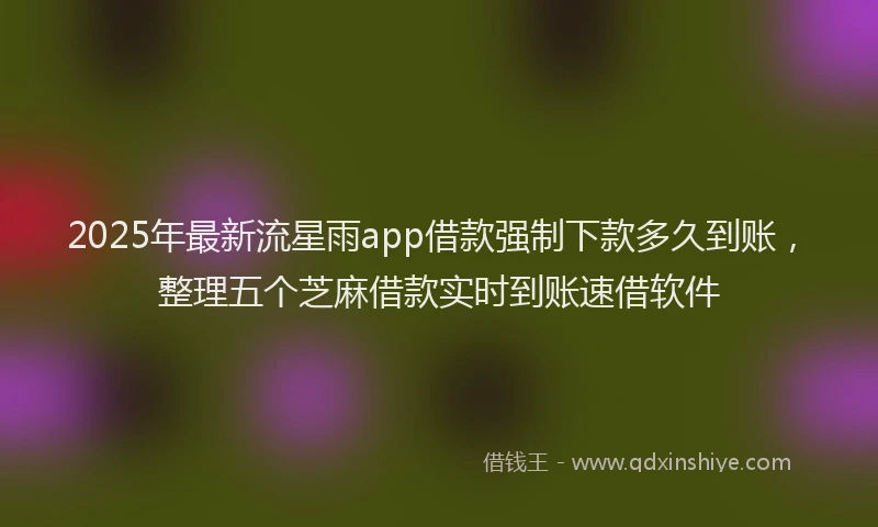 2025年最新流星雨app借款强制下款多久到账，整理五个芝麻借款实时到账速借软件