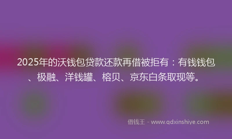 2025年的沃钱包贷款还款再借被拒有：有钱钱包、极融、洋钱罐、榕贝、京东白条取现等。