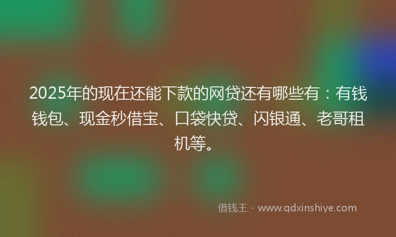 2025年的现在还能下款的网贷还有哪些有：有钱钱包、现金秒借宝、口袋快贷、闪银通、老哥租机等。