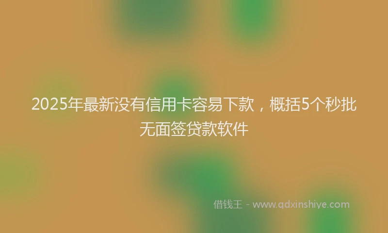 2025年最新没有信用卡容易下款，概括5个秒批无面签贷款软件