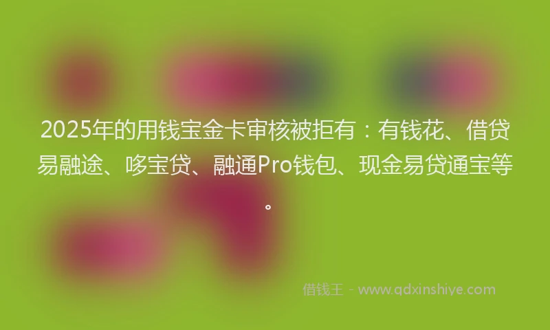 2025年的用钱宝金卡审核被拒有：有钱花、借贷易融途、哆宝贷、融通Pro钱包、现金易贷通宝等。