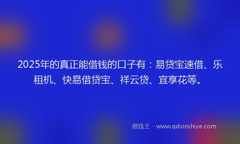 2025年的真正能借钱的口子有：易贷宝速借、乐租机、快易借贷宝、祥云贷、宜享花等。