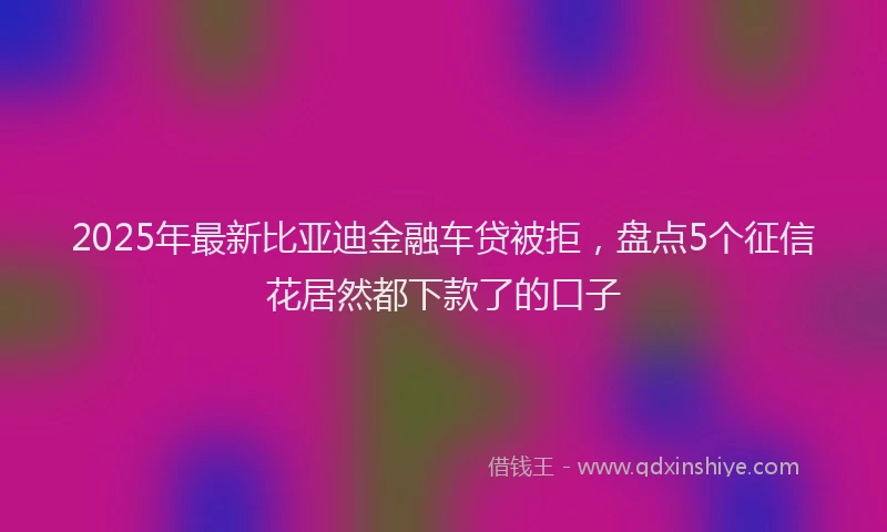 2025年最新比亚迪金融车贷被拒，盘点5个征信花居然都下款了的口子