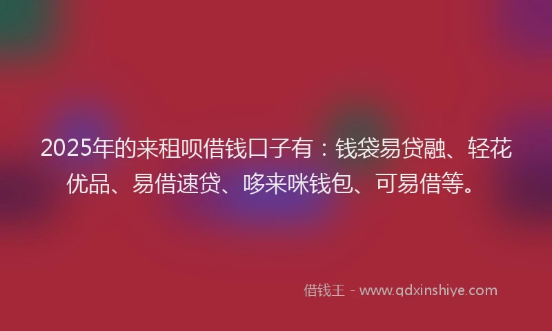 2025年的来租呗借钱口子有：钱袋易贷融、轻花优品、易借速贷、哆来咪钱包、可易借等。