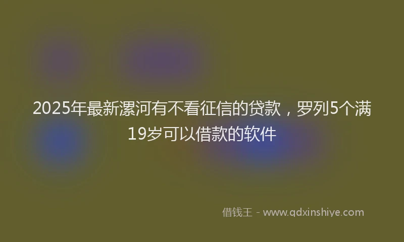 2025年最新漯河有不看征信的贷款，罗列5个满19岁可以借款的软件