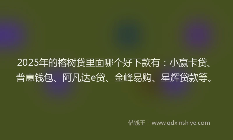 2025年的榕树贷里面哪个好下款有：小赢卡贷、普惠钱包、阿凡达e贷、金峰易购、星辉贷款等。
