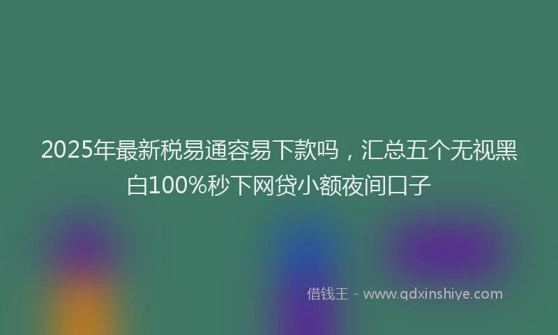 2025年最新税易通容易下款吗，汇总五个无视黑白100%秒下网贷小额夜间口子