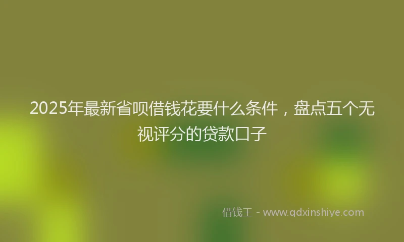 2025年最新省呗借钱花要什么条件，盘点五个无视评分的贷款口子